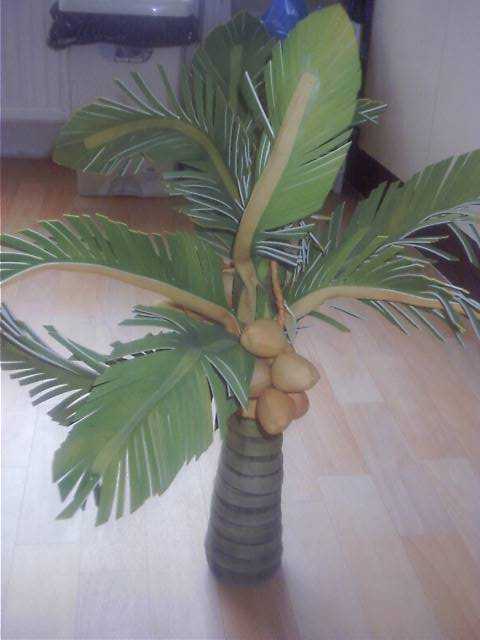 banana tree